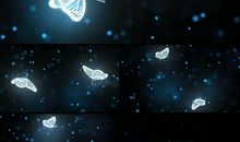 网络改变了我的生活