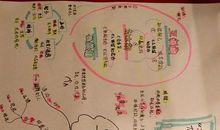 实践七个习惯读后感