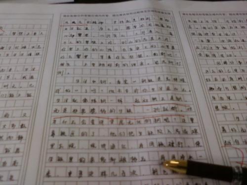 我四年级的写作爱好