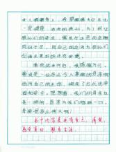 看完《狼王100》的梦想