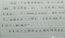蜘蛛给我的启示作文