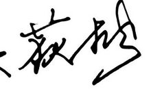 雪松的启示作文