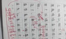 大年初一作文400字