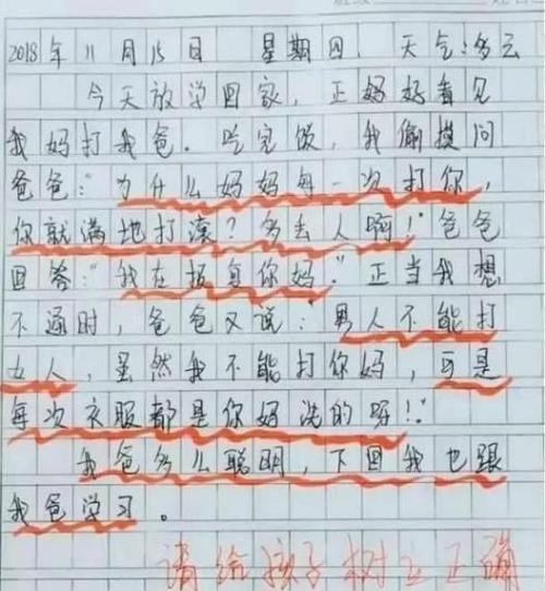 元旦作文800字