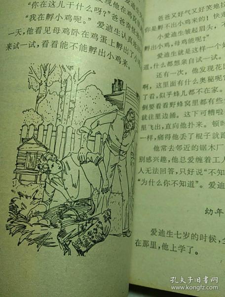 与科学家对话和组成