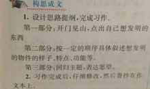 与青春有关的作文