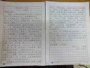 第十一次旅行作文600字