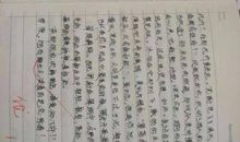 平凡也美丽作文