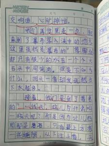 夏雨作文500字