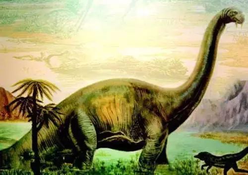 关于阅读《森林中的恐龙朋友》的思考