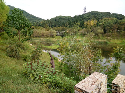 美丽的森林公园组成