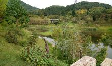 美丽的森林公园作文