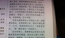 夏天的雨的作文800字