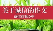 美丽的谎言作文400字