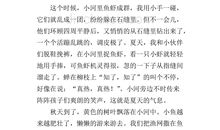 家乡的小河400字