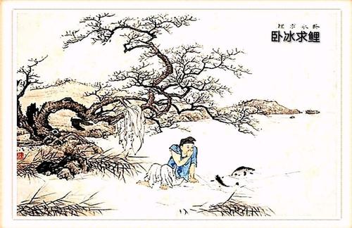 读《魏炳秋鲤鱼》后的感想