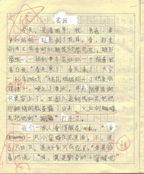 美丽的花园组成200字