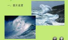 我看见了大海读后感