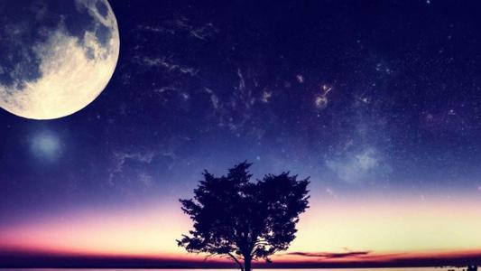 经典语录：距离就是风景，距离就是生活