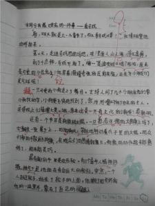 寒假作文450字