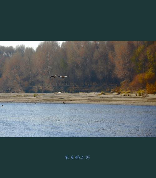 我家乡的小河250字