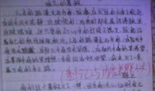 关于寒假的作文500字