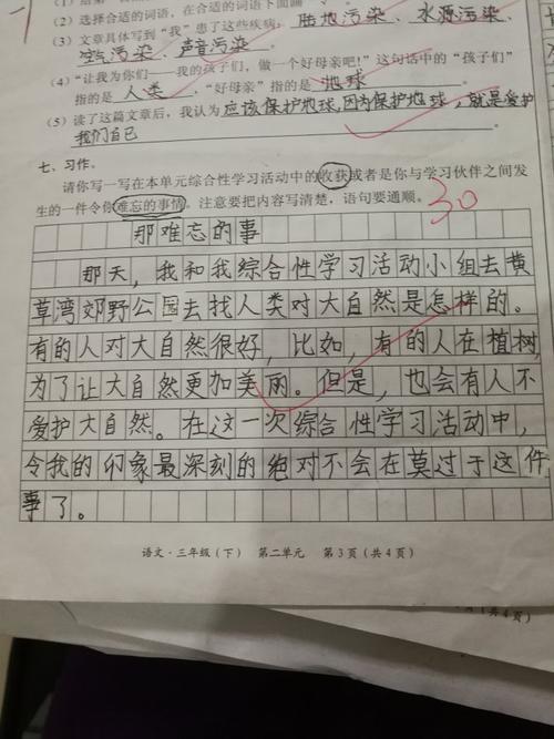 关于小学作文的荒谬