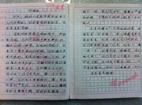 他的作文改为500字