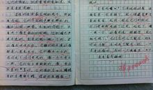 他变了作文500字