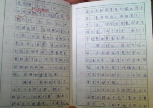 时间家庭和我组成