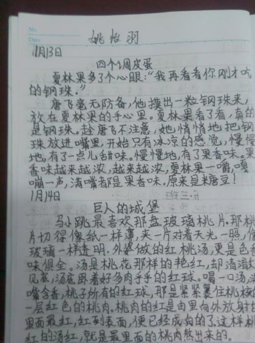 阅读传记后的2000个单词