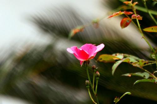 看完后涨了好几次