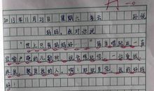生活中的启示200字