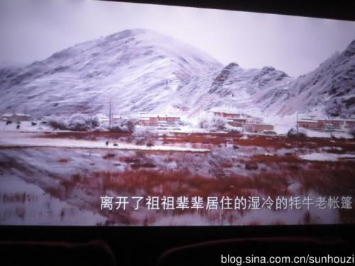 美丽的菊花，在天空中