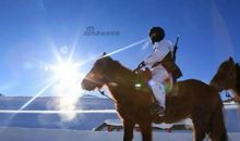 赤地之恋读后感