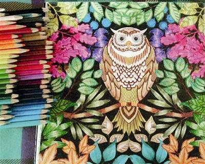 关于阅读“秘密花园”的思考