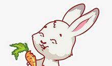 兔子的胡萝卜读后感