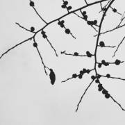 看完后“所以你不会不开心”