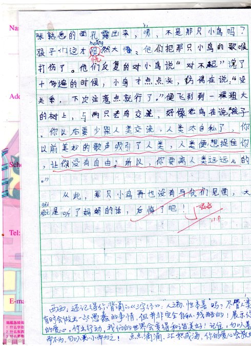 冰心阅读后不少于50字
