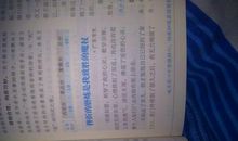 乐观面对挫折作文