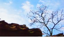 心中的那道风景