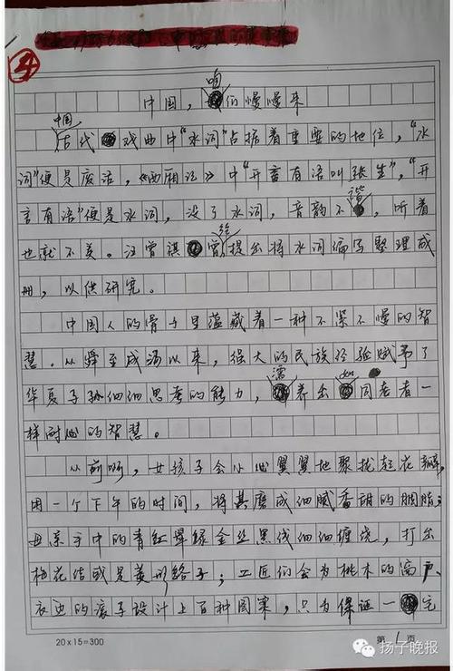 2013年高考满分作文江苏试卷：无干扰的沉默