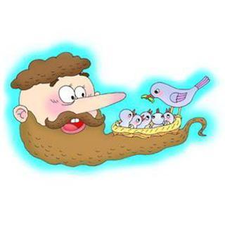 看完了胡子的燕窝