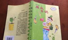 男生日记读后感