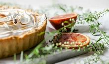 女巫的面包读后感