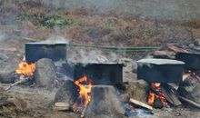 关于野炊的作文