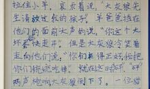 狼和小羊的作文