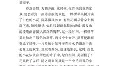 我爱妈妈作文300字