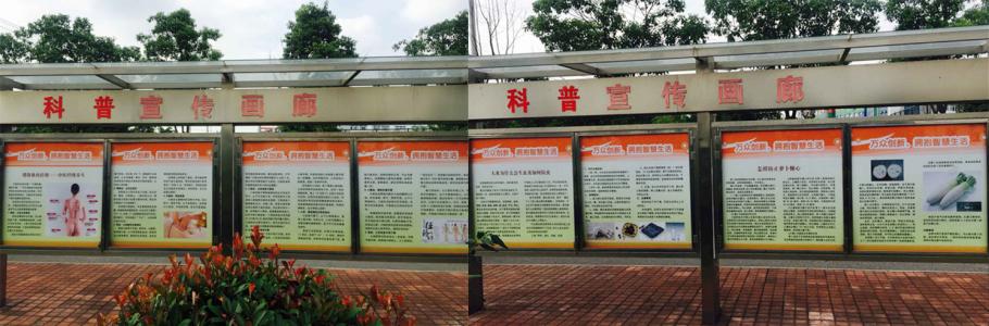 智慧生命科学普及论文