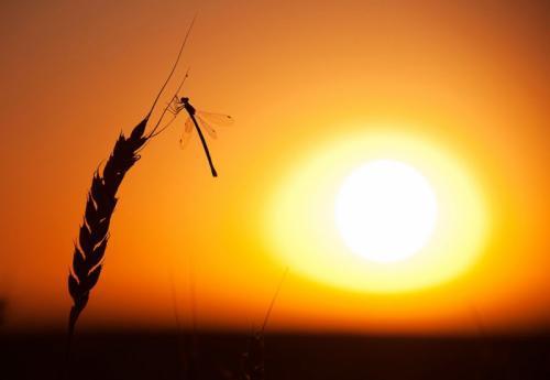 对大学生的励志：如何选择第一份工作？